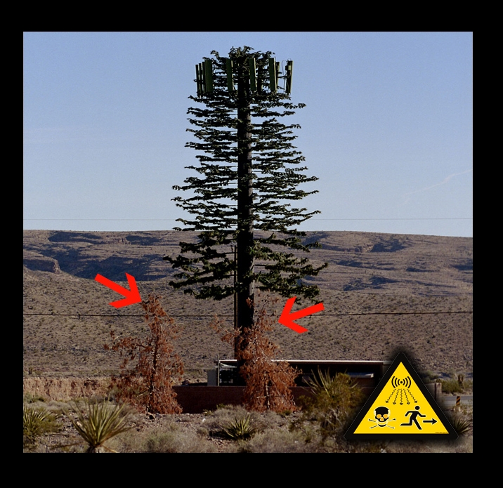 Antennes camouflées dans un arbre factice